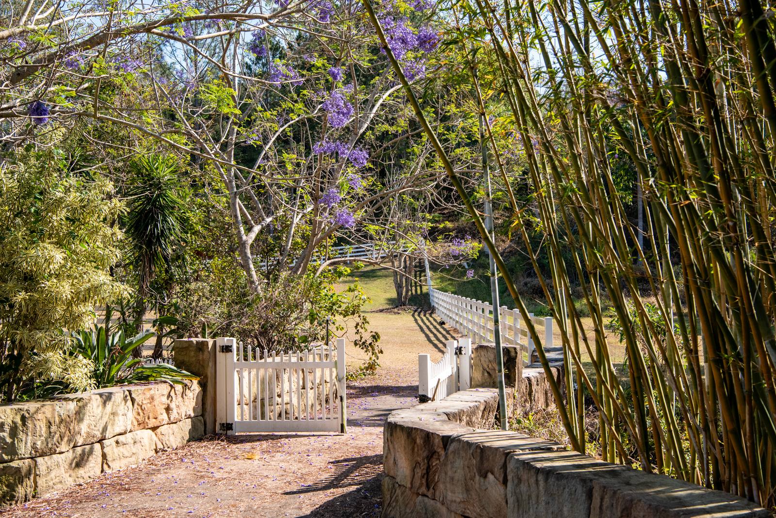 A white gate opening onto a jacaranda-lined pathway into the Gold Coast hinterland, an invitation to step into a different way of leading.